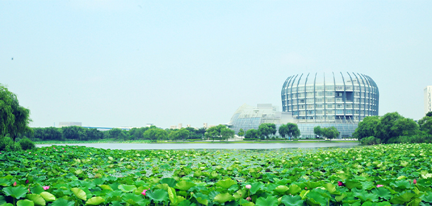 東華大學(xué) - 最美大學(xué)