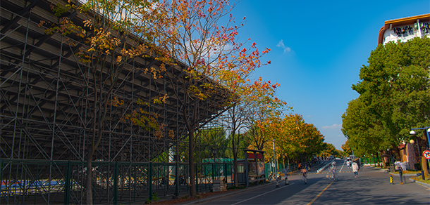 東華大學(xué) - 最美大學(xué)